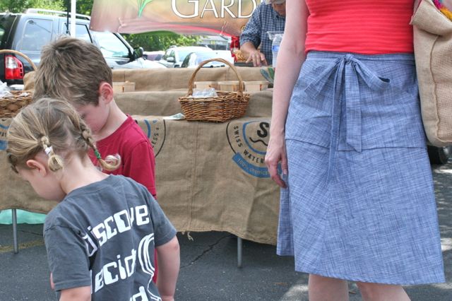 farmer's market miette skirt